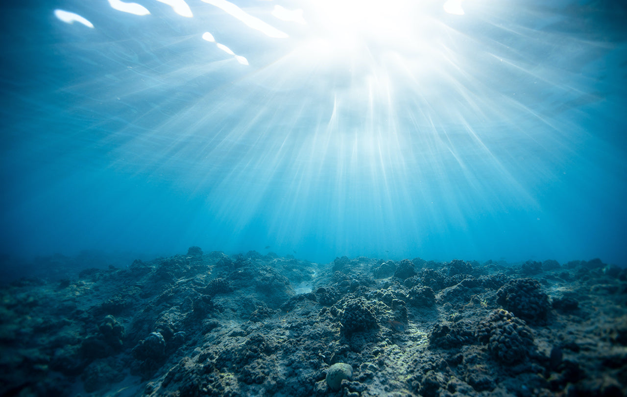 How much oxygen comes from the ocean?